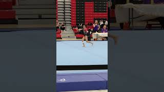 Level 5 floor routine  97 First Place 🥇 Alexis M 9724 [upl. by Alarick]