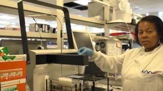 Testing antinuclear antibodies ANA – Francisca Hodge and Hazel Hinds [upl. by Aneem]