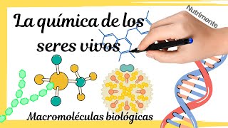 MACROMOLÉCULAS La química de los seres vivos [upl. by Steffin]