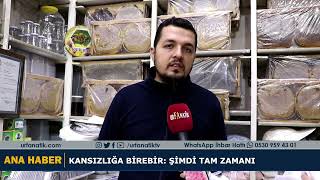 Kansızlığa Birebir Şimdi Tam Zamanı [upl. by Zebe]