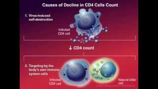 How HIV Causes Disease [upl. by Ossie]