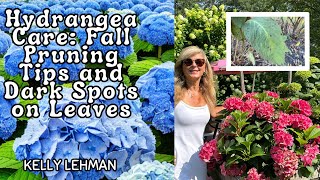 Hydrangea Care Fall Pruning Tips and Dark Spots on Leaves  Expert Advice by Kelly Lehman [upl. by Meuser377]