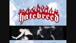 Hatebreed  Not One Truth [upl. by Nylecoj907]