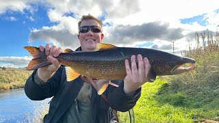 Salmon fishing in Scotland river deveron [upl. by Erreit784]