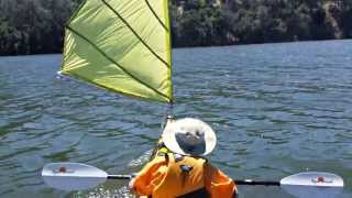 Kayak Sailing with Home made DIY Sail upwind capable  Del Valle [upl. by Etan]