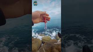 how to catch mermaid🤣🤣 طريقة صيد حورية بحر🤣 fishing fish fypシ゚viral youtube explore like live [upl. by Esilanna]