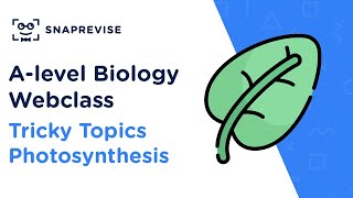 Alevel Biology Tricky Topics Photosynthesis [upl. by Nitsew758]