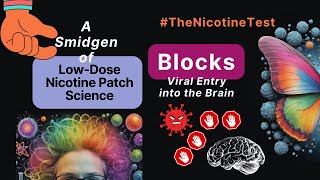 Lowdose Nicotine Patch  Nicotine Protects the brain agains SARSCoV2 Smidge of Science part 3 [upl. by Nikkie]