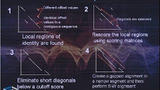 Bioinformatics part 5 FASTA algorithm [upl. by Pape]