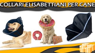 Top Migliore ⊗ Collari Elisabettiani per Cane [upl. by Afas]