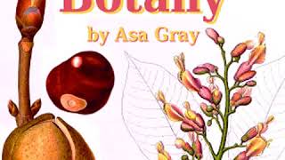 The Elements of Botany by Asa GRAY read by Various Part 12  Full Audio Book [upl. by Quentin]