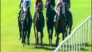 Zoffany  Phoenix Stakes Gr1 [upl. by Thorin619]