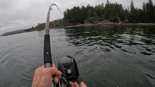 Smaller Boat Big Fish 20lb Salmon fishing solo [upl. by Doralyn]