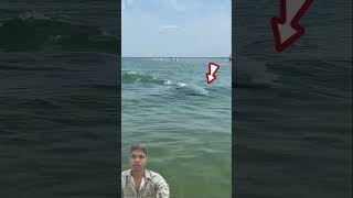 Dolphin Appears Among Sea😱😱 Bathersshortsvideo youtubeshorts beach fish [upl. by Winola]