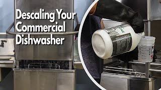 How to Delime and Descale Commercial Dishwasher Machine Active Element Maintenance Series [upl. by Annahc939]