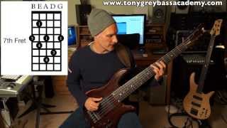 Major 7 Chord Tones and Tensions Lesson 6 [upl. by Ener]