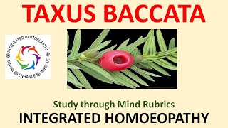 TAXUS BACCATASTUDY THROUGH MIND RUBRICS [upl. by Adin]