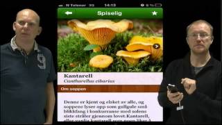 Norske sopper  App [upl. by Rosetta]