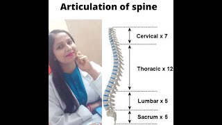 ARTICULATION OS SPINE  INTERVERTEBRAL JOINT  ZYGAPOPHYSEAL JOINT  PART 1 [upl. by Ondrej]