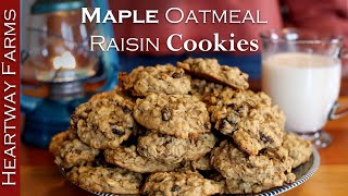 Maple Oatmeal Raisin Cookies A Sugar Free and Gluten Free Cookie Recipe  Healthy Cookie Recipes [upl. by Eve968]