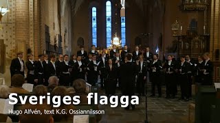 Sönerna  Sveriges flagga [upl. by Sinnal]