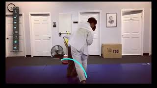 Pinan Sandan Bunkai  Hip Toss O Goshi karate martialarts mma training bunkai [upl. by Ellennej]