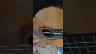 16 minutes of nylon string guitar music [upl. by Plato]