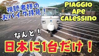 日本に一台！ピアジオ アペ カレッシーノ おバイク拝見！ piaggio ape calessino トゥクトゥク vespa tuktuk [upl. by Gibbie]