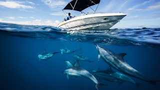 UNTERWASSERFOTOGRAFIE 🐟 Diese Gehäuse nutze ich 📷 Benjamin Jaworskyj [upl. by Willyt818]