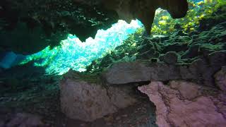 Cenote Nic Te Ha  Mexico part 1 [upl. by Satterfield]