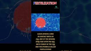 What is fertilization Fertilization क्या है reproduction [upl. by Cesaro364]