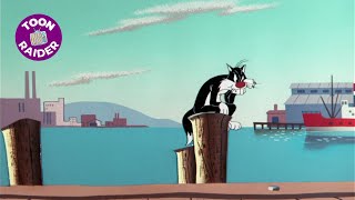 Sufferin Succotash  A History of Sylvester the Cat [upl. by Knick]