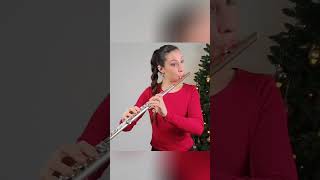 SLEIGH RIDE  Flute Cover sleighride christmas christmassongs flutecover christmasflutecover [upl. by Calysta675]