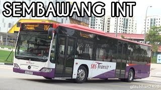 First Day  SBS Transit in Sembawang Bus Interchange  Service 117 [upl. by Kuebbing]