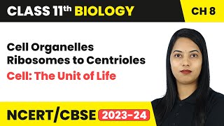 Cell Organelles Ribosomes to Centrioles  Cell The Unit of Life  Class 11 Biology Chapter 8  CBSE [upl. by Oza]