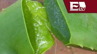 How To Get Fair Skin With Aloe Vera  Aloe Vera Gel For Face  Simple Beauty Secrets [upl. by Yrreb209]