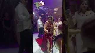 mariagealgerien mariaged اعراسجزائرية mariagemarocain follow [upl. by Devehcoy]