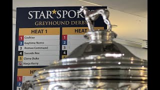 THE FINAL VERDICT Star Sports Greyhound Derby Final 2023 [upl. by Nadbus769]