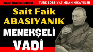 Sait Faik Abasıyanık quotMenekşeli Vadiquot Türk Edebiyatıbdan Sesli Kitaplar [upl. by Ahsillek193]