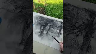 Bozzetto a carboncino enpleinair outdoordrawing sketching [upl. by Campos497]