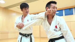 Awesome Kata Bunkai by Naka Shihan from JKA [upl. by Eciram]