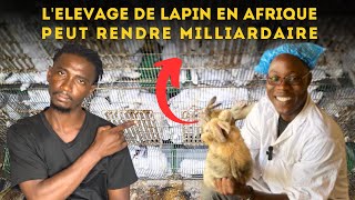 Devenez RICHE dans lelevage de LAPIN en Afrique avec cette méthode Les bonnes pratiques à observer [upl. by Hallette]