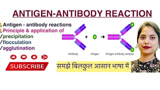 AntigenAntibody reaction in Hindi￼  Agglutination  Precipitation  Flocculation  Mycology  MLT [upl. by Eignat]