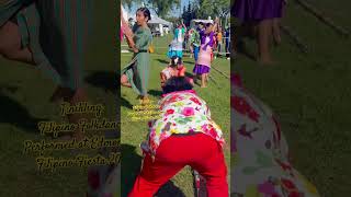 Tinikling  Filipino Folkdance performed at EdmontonFilipino Fiesta 2024 [upl. by Kentigerma]