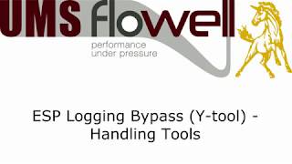 ESP logging bypass ytool  Handling Tools [upl. by Notse482]