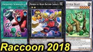 【YGOPRO】RACCOON DECK 2018 [upl. by Ingrim853]