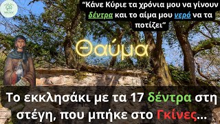 Η Αγία Θεοδώρα εν Βάστα  Το εκκλησάκι θαύμα με τα 17 δέντρα στη στέγη [upl. by Rubens]