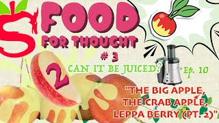 Food For Thought 3 Can It Be Juiced 10B quotApple Pt 2quot bigapple snapdragon leppaberry [upl. by Ofilia372]