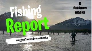 Current Seward Salmon Snagging Report June 2024 [upl. by Esylla]