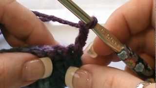 How to Crochet the quotCorded Ridgequot Stitch [upl. by Noscire69]